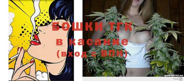 тгк Аркадак