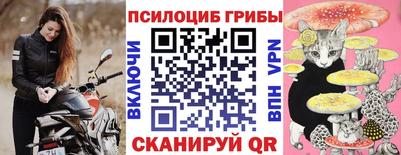 Галлюциногенные грибы Psilocybine cubensis  ОМГ ОМГ сайт  Протвино  как найти  